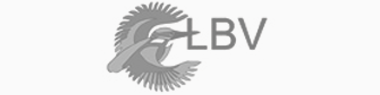 lbv_380x95